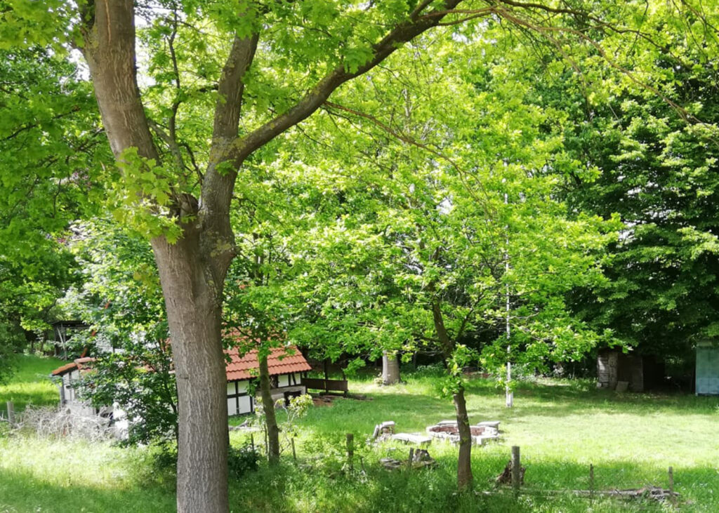 Zeltplatz in Dedensen.